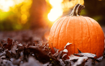 A Day of Pumpkin Decorating