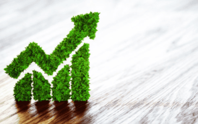 Recycling Program Creates Green Business Resource Kit