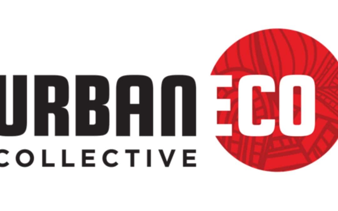 New Workshop Series!