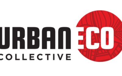 New Workshop Series!