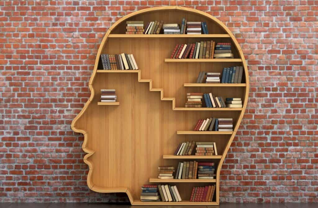 Helping youth transition back into school