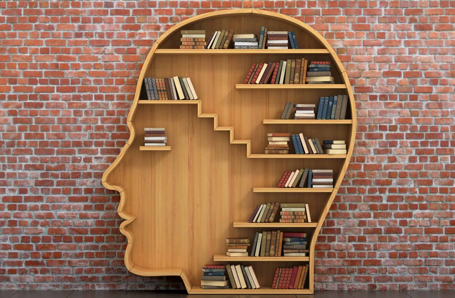 Helping youth transition back into school