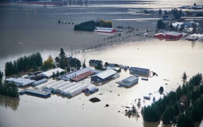 Supporting Temporary Foreign Workers Displaced by Flooding