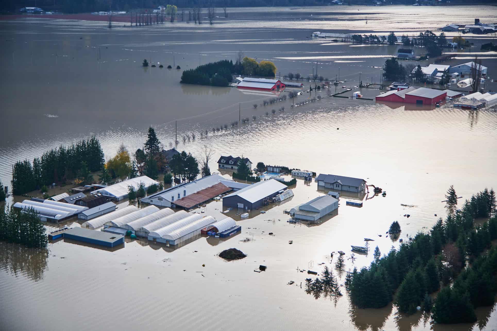 Carl, Meals on Wheels Volunteer