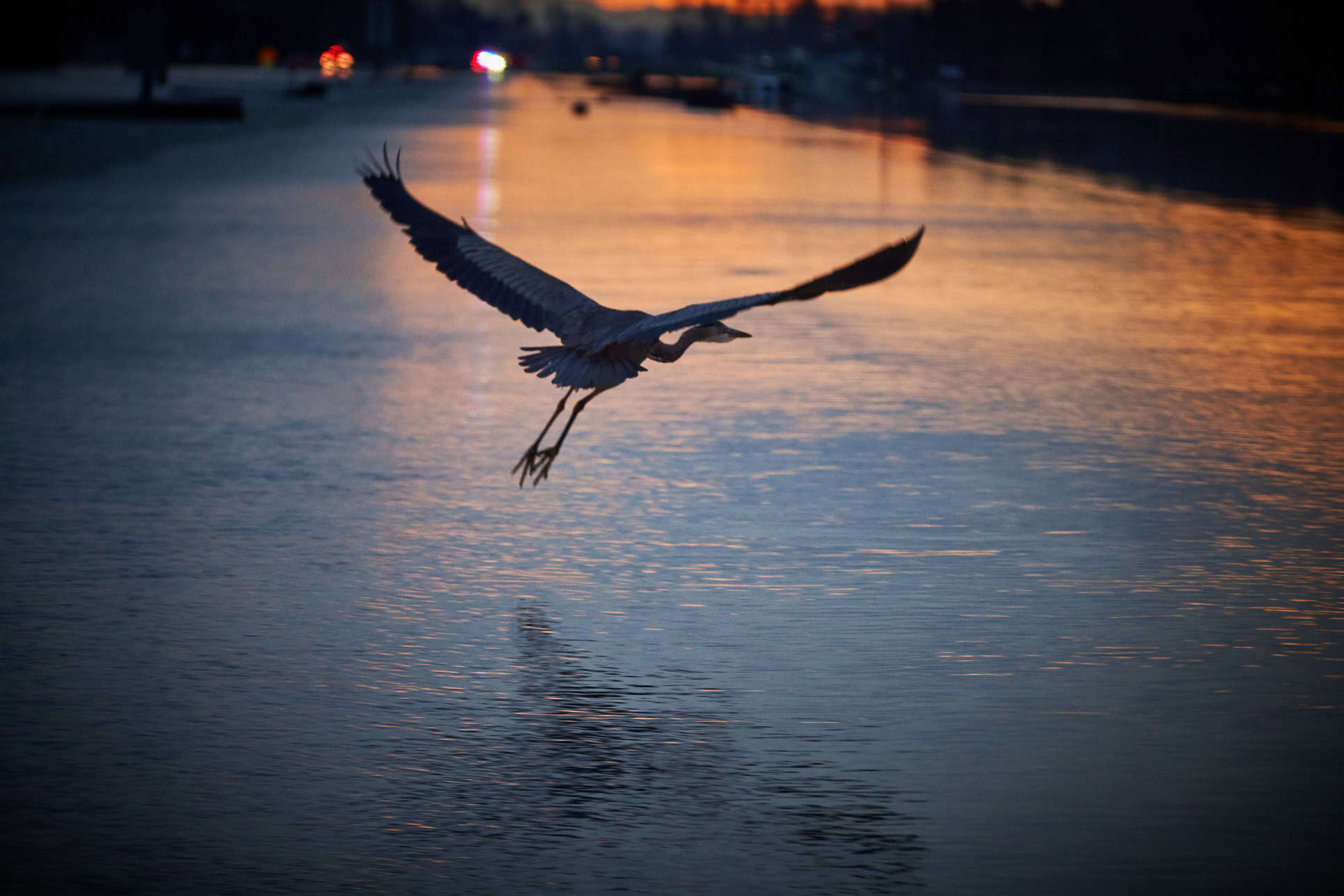 Herb, Meals on Wheels client