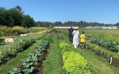 Urban Farm Tours