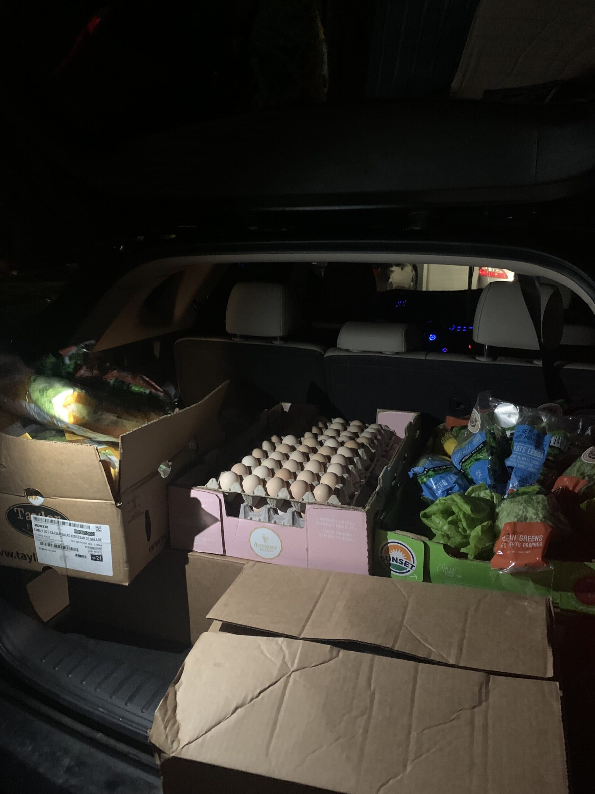 Carl, Meals on Wheels Volunteer