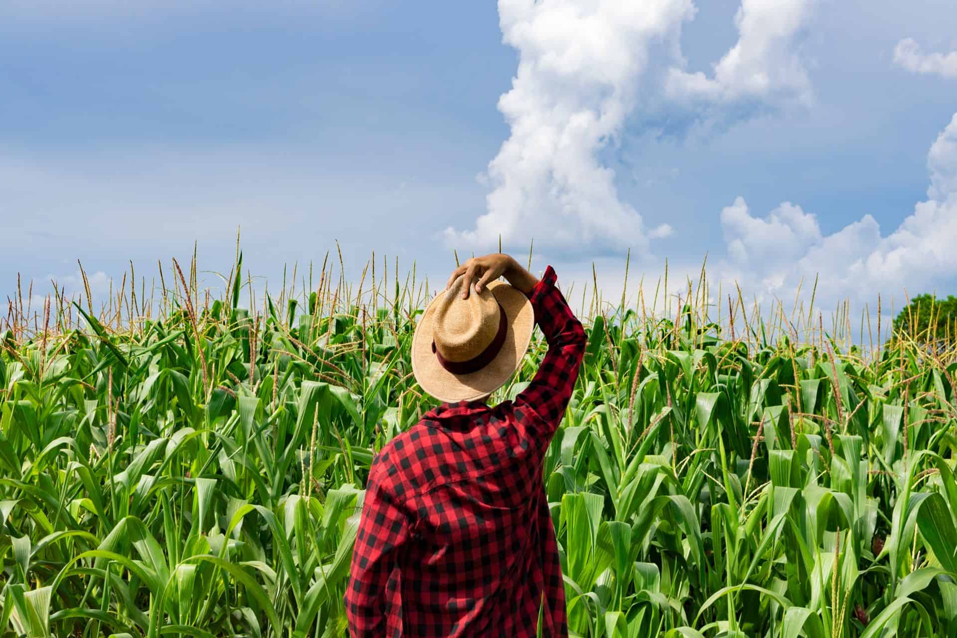 family figure cut out in front of a judge's gavel and the scales of justice on a desk