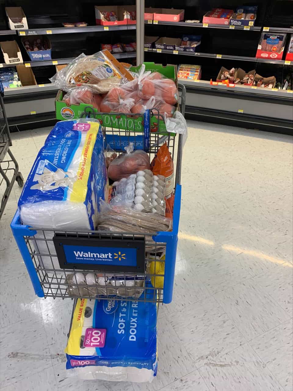 Carl, Meals on Wheels Volunteer