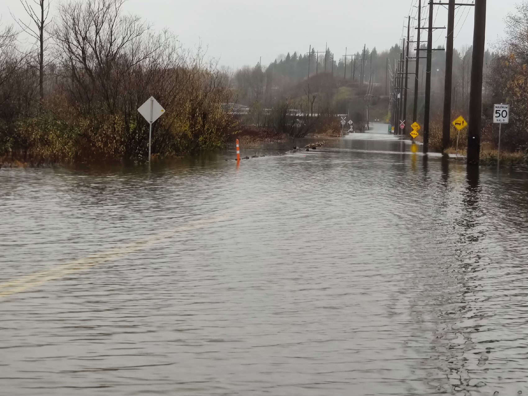 Carl, Meals on Wheels Volunteer