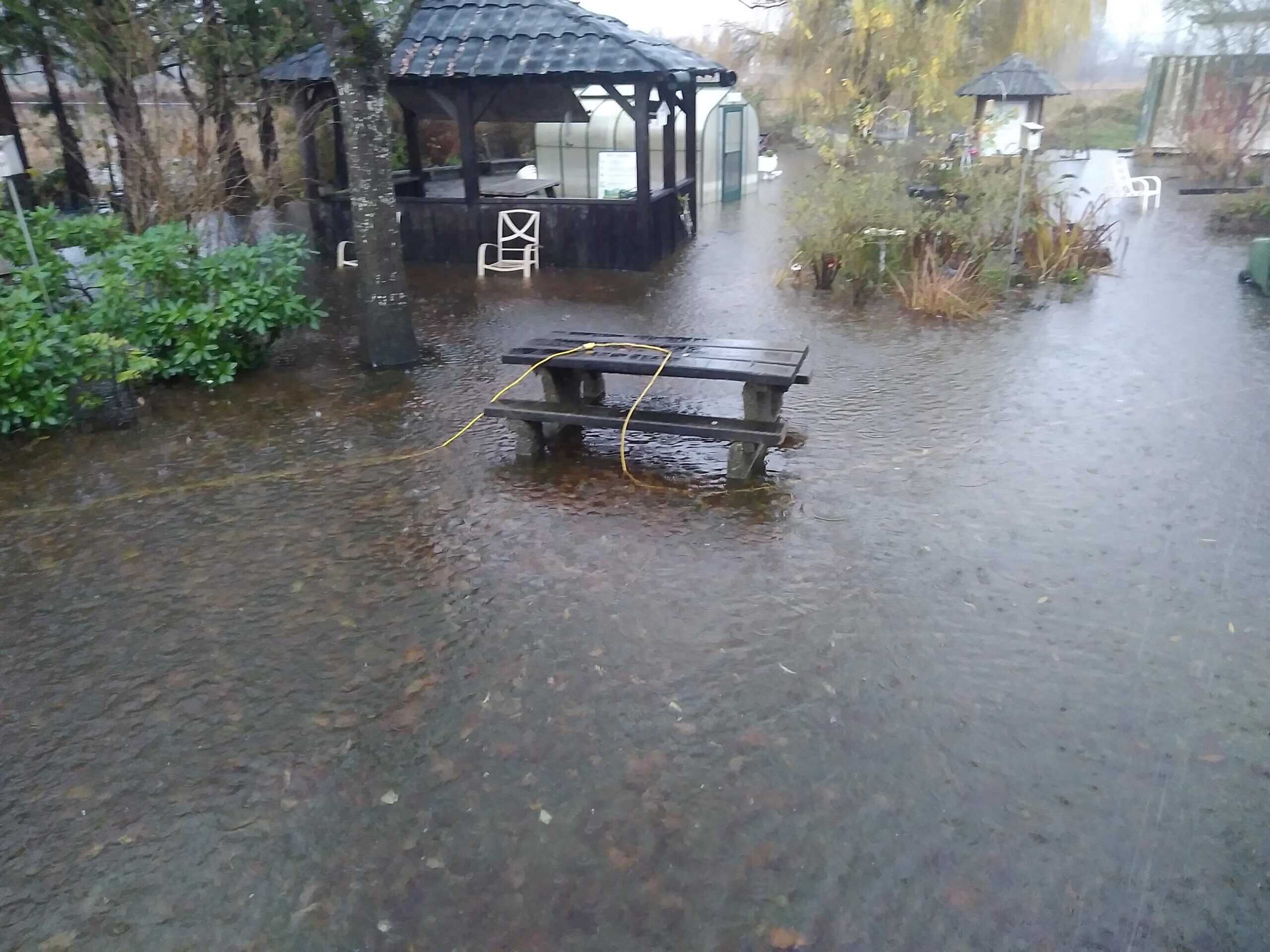Carl, Meals on Wheels Volunteer