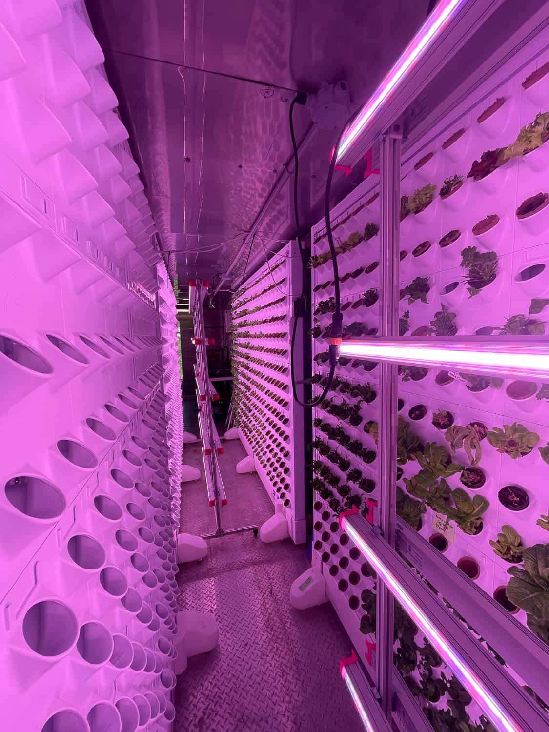 Narrow hallway inside of a vertical farm with purple lighting and pods up the sides of the walls
