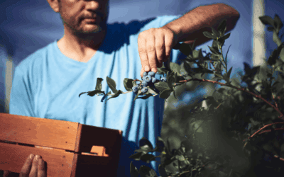 Mateo’s Journey with the Legal Advocacy for Agriculture Workers Program