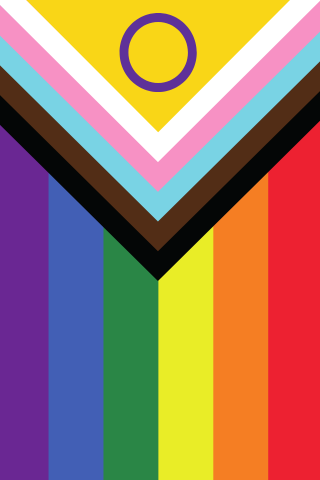 a graphic of the progress pride flag: the rainbow flanked by a triangle of black, brown, blue, pink and white stripes, with the intersex symbol in purple on top of a yellow triangle